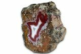 Polished, Vibrant, Banded Agate - Kerrouchen, Morocco #326534-3